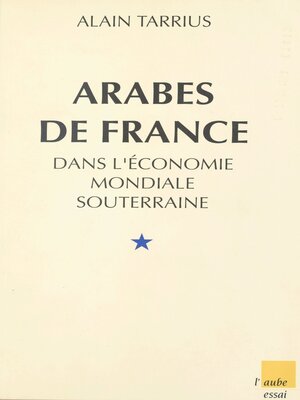 cover image of Arabes de France dans l'économie mondiale souterraine